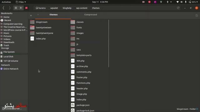 WordPress Lecture 16 | Installation of theme through file manager |Themes in WordPress |Cyber Pasht