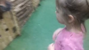 Контактный Зоопарк/Взяли вторую корзинку с кормом