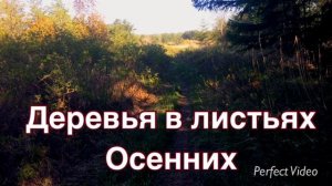 СВЕТ - ОЖЕРЕЛЬЕ