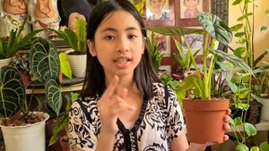 Alocasia Baginda Dragon Scale