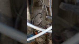 Таврия Славута ремонт - снятие генератора