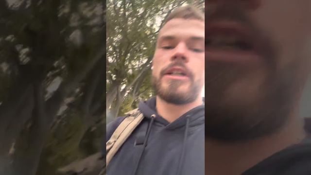 Чем отличается альфа от аленя? Вы ошибались смотреть онлайн