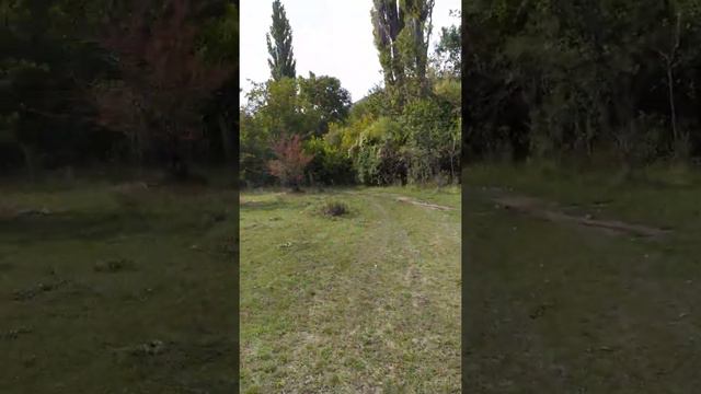 перевальное. дорога в горы. Крым