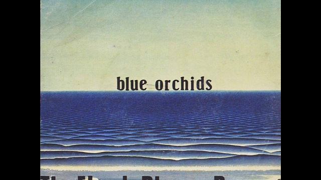 Blue Orchids - Disney Boys (Vinyl) смотреть онлайн