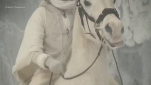 У леса на опушке жила Зима в избушке - Зима - зимние сказки - #Алёна_Феночка