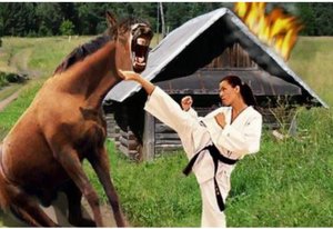 Кому на Руси  Life in  the Kife