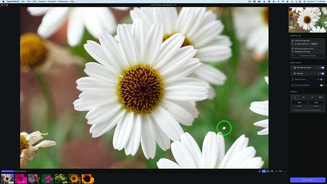 TOPAZ PHOTO AI (New Update Version 1.1.2) Apply Current Settings to All Images Plus HOLIDAY PROM смотреть онлайн