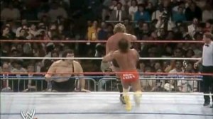 Randy Savage (w. Miss Elizabeth, Hulk Hogan) vs. Ted Dibiase (Andre the Giant) - WWF WrestleMania IV