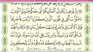 Шейх Айман Сувейд сура Аль Анфаль стр 178