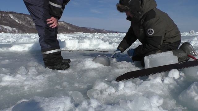 Ловля Колючего краба на булавку. (о.Сахалин) смотреть онлайн