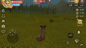 Как выполнить задания от Passa в Wild craft! #вилдкрафт#оле7#вайлдкрафт#wildcraft#doohrysi#game#игр