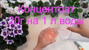Удобрение для фиалок.Раствор для полива фиалок и стрептокарпусов