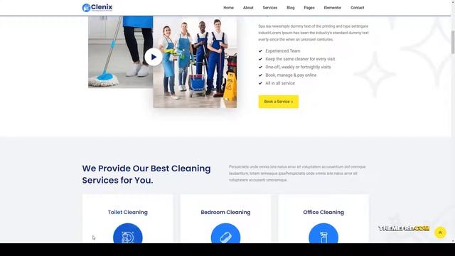Clenix - Cleaning Services WordPress Theme cleaning Cleaning Service Ayano