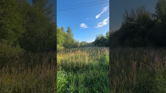 Продаётся земельный участок 22 сотки в деревне Вески, вблизи города Александрова, Владимирская обл.