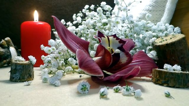 Немного боли друг о друге... (Стихи). Алла Сигарёва. смотреть онлайн