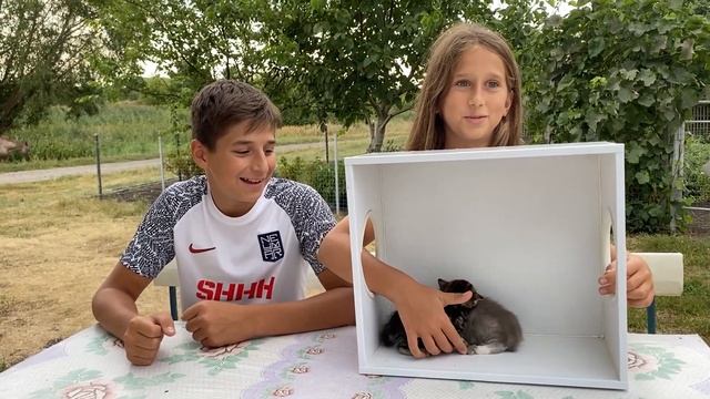 УГАДАЙ ЖИВОТНОЕ В КОРОБКЕ ЧЕЛЛЕНДЖ! ЧТО В КОРОБКЕ? смотреть онлайн