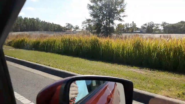 Richard Mabey Presents Highways 464 and 25, Ocala to The Villages, Florida! смотреть онлайн