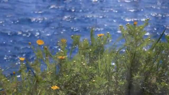 музыка о воспоминаниях.m6 смотреть онлайн