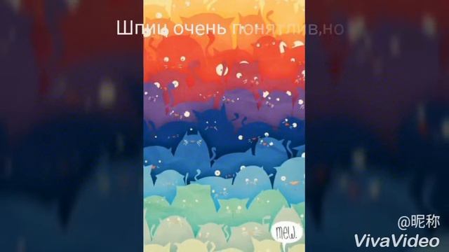 Интересные факты. Померанский шпиц смотреть онлайн