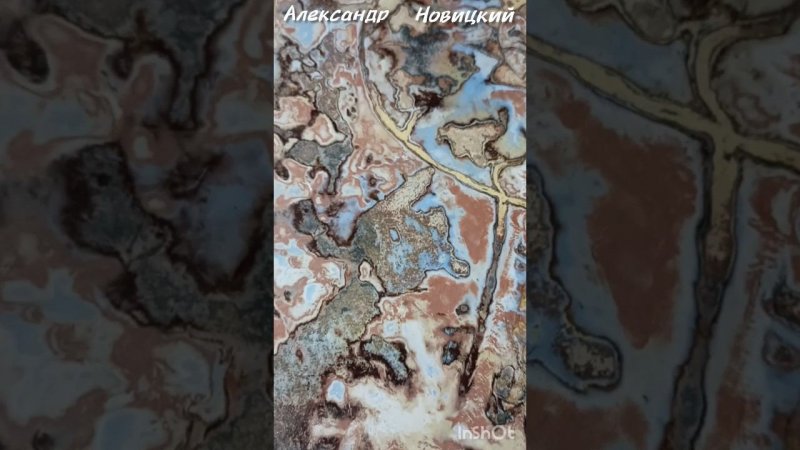 Венецианская штукатурка аммонит #art #artwork