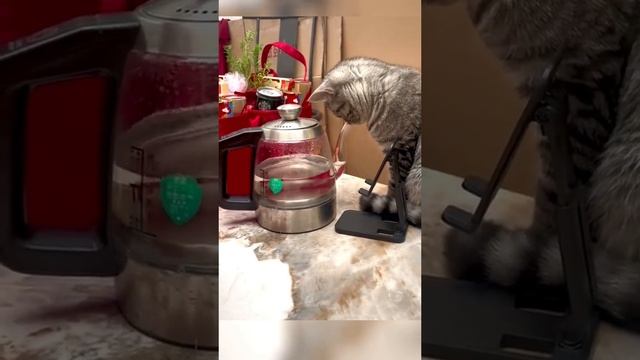 1000002070.mp4 смотреть онлайн