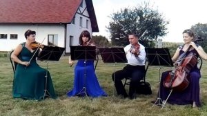 Н.Ротта  "Итальянская свадебная тарантелла" из к\ф "Крестный отец"