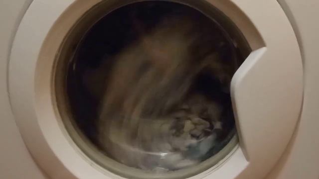 Стиральная машина indesit. Программа 2 50° 800 об. смотреть онлайн