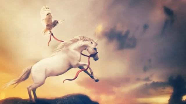 Мой смысл жизни это конный спорт смотреть онлайн