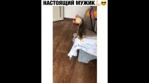 ПРИКОЛ - настоящий мужик