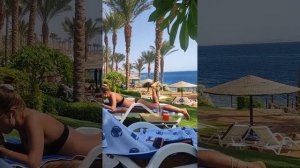 Египет зимой 2024 г. Пляжный отдых в отеле Grand Rotana, Шарм-Эль-Шейх.