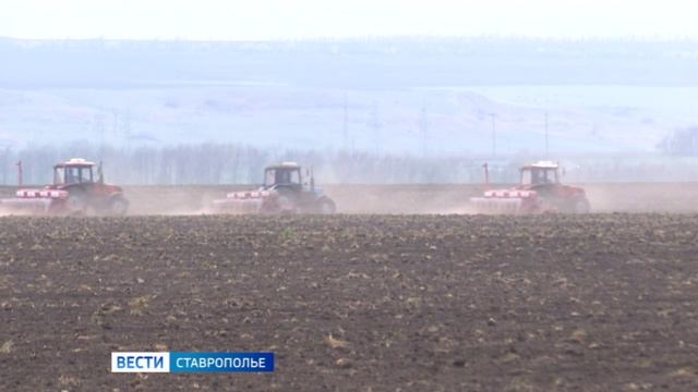 Завершен сев в Новоалександровском округе Ставрополья