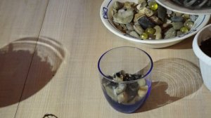 Как сделать флорариум