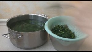 Заморозка шпината на зиму