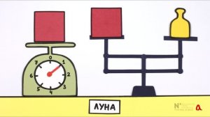 Вес тела