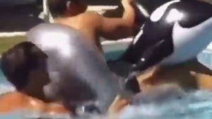 GACHI SUMMER MIX | HAVE A GOOD SUMMER!!! #gachi #gachimuchi #gachisummer