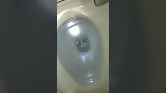 Универсальный унитаз. смотреть онлайн