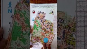 Видеоурок по спортивному ориентированию
