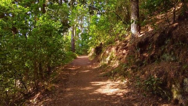 Пока муж спал жена активно продвигалась по карьерной лестнице с новым начальником смотреть онлайн