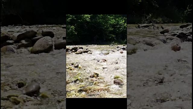 Волшебный шум воды лесной реки для сна и расслабления.