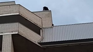 подростки самоубийцы