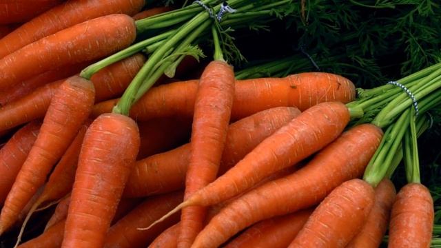 Коала спит 20 часов в день? - ЛЖЕФАКТЫ ВК #3 смотреть онлайн