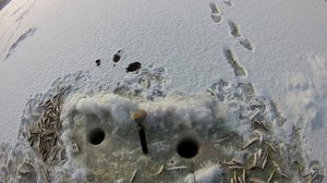 Ловим корюшку и навагу.Сезон 2020г.Охота и рыбалка на Дальнем Востоке.