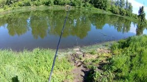 Рыбалка в черте города: улица Обувная, реки Татьянка и Свинуха