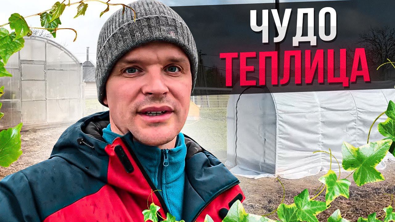 Чудо Теплица Сибирский Агроном Купить
