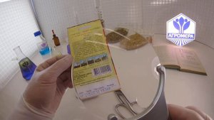 Томат Бетта. Аэлита