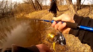 Попытка заставить щуку клевать. Что делать, когда не клюет