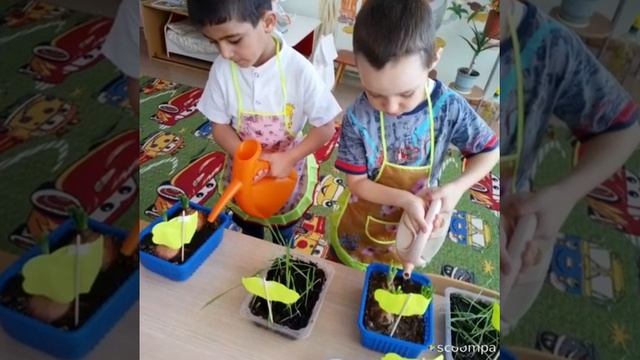 "Наш огород" воспитатель Моргунова Наталья Александровна смотреть онлайн