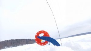 Ловля судаков на жерлицы зимой 2021