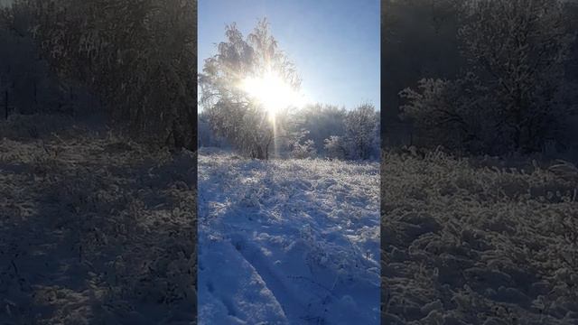 участок в снт ветеран крайний к лесу