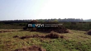 Мотоблок в роли волокуши для сена